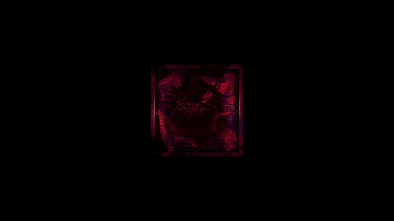 S.E.E.D.